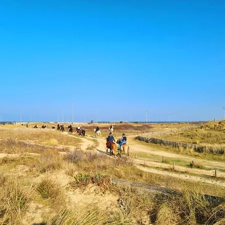 Sweet Cocon - Duplex Dans Le Bourg Et Proche De La De Дом отдыха